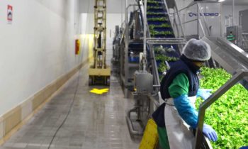 Proiettori da interno o esterno per segnaletica industriale