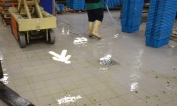 Proiettori da interno o esterno per segnaletica industriale