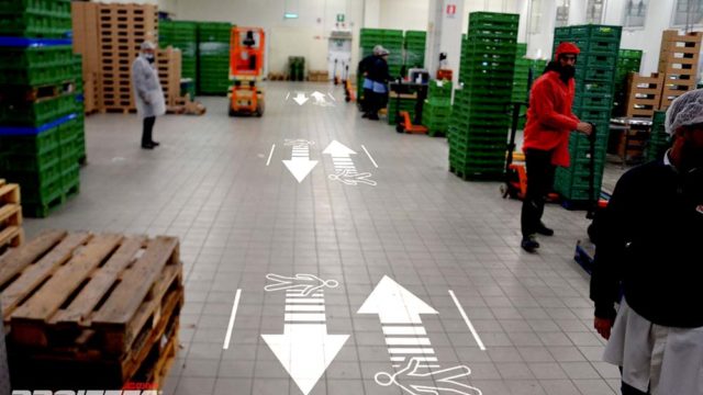 Proiettori per segnaletica industriale