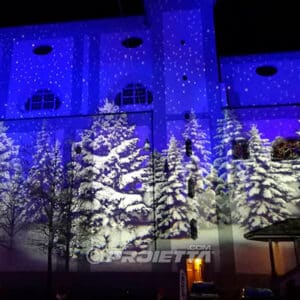 WINTER FOREST